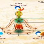5 Pranas: పంచ ప్రాణాలు – దశ వాయువులు