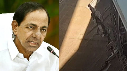 Citizens: ఆ దేశాల్లో మనవాళ్ల పాగా!