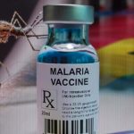Malaria Vaccine : వ్యాక్సిన్లతో మలేరియాకు తెర?