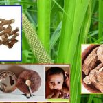 Vasa : వస పోయటం అంటే?