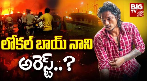 Fishing harbour fire : వేలమంది జీవనాధారం పోవడానికి కారణం నాని?
