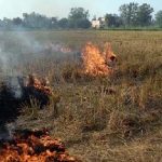 Stubble Burning  : పంట వ్యర్థాల దగ్ధం.. చిచ్చు రేపిన కాలుష్యం