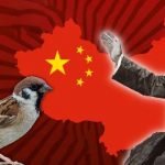 Sparrow War In China : పిచ్చుక పగ.. 4 కోట్లమంది బలి..!
