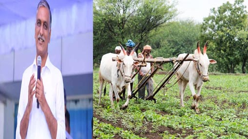 Taneti Vanitha : హోంమంత్రి ఇలాఖాలో యువకుడి మృతి.. పరిస్థితి ఉద్రిక్తం