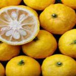 Yuzu Fruit : అందానికి యుజు ఫ్రూట్.. మరెన్నో బెనిఫిట్స్