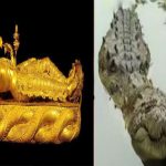 Kerala : అనంతపద్మనాభ స్వామి ఆలయం.. మరోసారి మొసలి ప్రత్యక్షం..