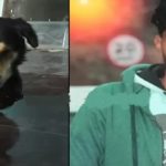 Dog Empathy : వీధికుక్కను కాపాడి మరణించిన యువకుడు.. ఆ తల్లిని ఓదార్చిన శునకం