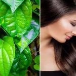 Betel Leaf For Hair Growth : జుట్టు సంరక్షణకు తమలపాకు.. ఎలా వాడాలంటే..