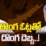 AP Fake Votes Issue: ఏపీలో లక్షలకొద్దీ దొంగ ఓట్లు.. ఎవరి లెక్కలు కరెక్ట్ ?