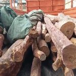 Red sandalwood smuggling : సినిమా స్టైల్‌లో ఎర్రచందనం స్మగ్లింగ్..  టాస్క్ ఫోర్స్ పట్టేసిందిలా..!