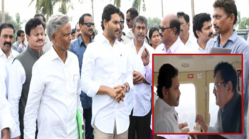 Rumeysa Gelgi : ప్రపంచ పొడగరి.. 5 రికార్డుల సొగసరి