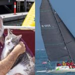 Hobart Yacht Race : పడవ పోటీల్లో పిల్లి!