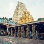Kartheeka Masam : ముగుస్తున్న కార్తీకమాసం.. శ్రీశైలంలో భక్తుల రద్దీ..