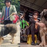 20 CR Dog: మియాపూర్ లో రూ.20 కోట్ల శునకం సందడి.. ఎందుకంత స్పెషల్?