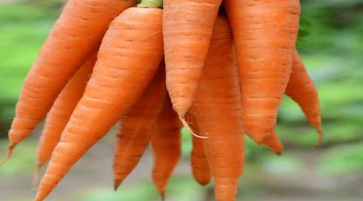 carrot : కేరట్‌తో ఎలర్జీలు దూరం