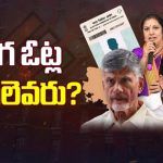 AP Fake Votes: ఏపీలో హాట్ టాపిక్ గా నకిలీ ఓట్లు.. జీరో డోర్ నెంబర్ తో గోల్ మాల్..