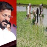 Rythu Bharosa : అన్నదాతలకు గుడ్‌న్యూస్‌.. నేటి నుంచి రైతులకు పెట్టుబడి సాయం..