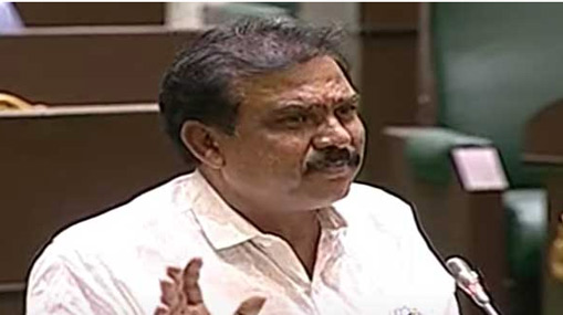 Payal Shankar: 2014కి ముందు కరెంట్ లేదా..? ఉచిత విద్యుతు ఎప్పటి నుంచి అమలు..?