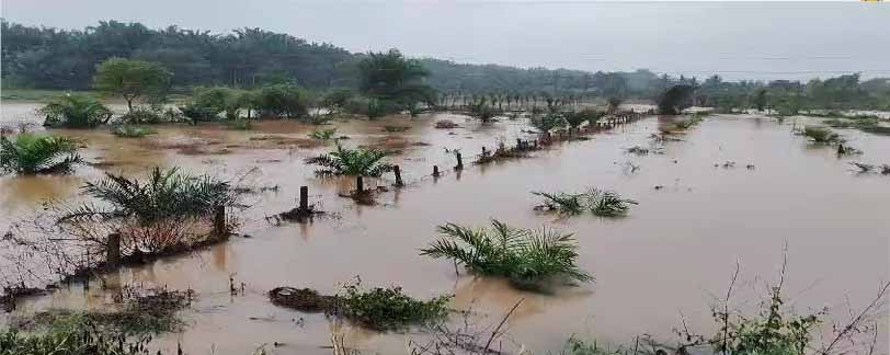 latest news in telangana