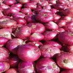 Onion Exports: పెరుగుతున్న ఉల్లిధరలు.. ఎగుమతులపై కేంద్రం నిషేధం