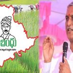 Harish Rao : రైతు బంధుపై ప్రశ్నలు.. హరీశ్ రావుపై విమర్శలు..
