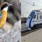 Jangaon : తప్పిన గురి.. వ్యక్తి అరెస్ట్.. అసలేం జరిగిందంటే..?