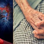 HDL-Dementia : గుడ్ కొలెస్ట్రాల్ ఎక్కువైనా ముప్పే!