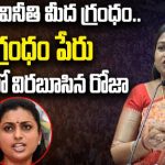 TDP Anitha Counter to Minister Roja : రోజా అవినీతి మీద గ్రంధం..ఆ గ్రంధం పేరు అవినీతిలో విరబూసిన రోజా