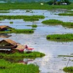 Floating Islands : తేలియాడే దీవులు .. దేశంలో ఆ ఒక్కచోటే!