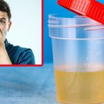 Urine odor : యూరిన్ బ్యాడ్ స్మెల్ వస్తుందా ?.. ఈ వ్యాధులు ఉన్నాయోమో..!
