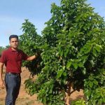 Passion Fruit Cultivation : పేషన్ ఫ్రూట్ సాగు.. ఎంతో బాగు..!