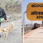 Adilabad : రాత్రి వేళ అడవి పందులతో తిప్పలు.. ఈ యువకుడు ఏం చేశాడంటే?