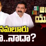 Political Heat Rises In Penamaluru : పెనమలూరు నీదా.. నాదా..? పార్ధసారథి vs బోడె ప్రసాద్..!