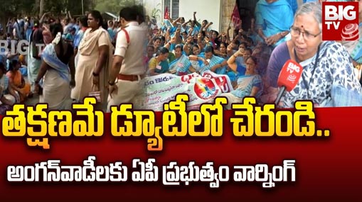 INDW Vs AUSW 3rd ODI : చిత్తుగా ఓడిన అమ్మాయిలు.. క్లీన్ స్వీప్ చేసిన ఆసిస్..