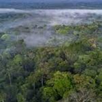 Amazon forest : అమెజాన్‌ అడవుల్లో అతి పురాతన నగరం.. కనిపెట్టిన శాస్త్రవేత్తలు..