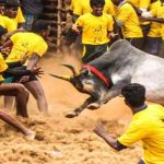 Jallikattu : తమిళనాడులో అట్టహాసంగా జల్లికట్టు పోటీలు ప్రారంభం.. భారీగా పాల్గొన్న యువకులు..!