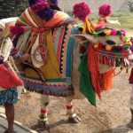 Sankranti Gangiredlu : సంక్రాంతి ప్రత్యేకం.. డూడూ బసవన్నలు.. కనుమరుగవుతున్న సంప్రదాయాలు