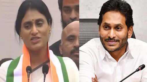 Ayodhya Ram mandir : అంతా రామమయం.. నగరమంతా పండగ శోభ..