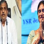 Sajjala Ramakrishna Reddy : చంద్రబాబు కోసమే ఏపీలోకి ఎంట్రీ.. షర్మిలపై సజ్జల విమర్శలు..