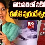 AP Fake Votes: ఏపీలో నకిలీ ఓట్లు.. ఈసీకి పురందేశ్వరి ఫిర్యాదు