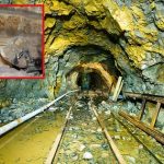 Mali Gold Mine : కూలిన బంగారు గని.. 70 మందికి పైగా మృతి