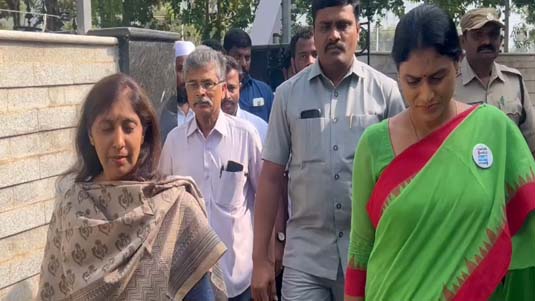 YS Sharmila : షర్మిలతో వివేకా కుమార్తె భేటీ.. సునీత పొలిటికల్ ఎంట్రీపై చర్చ..