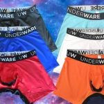 Underwear : ఇన్నర్‌వేర్స్ కొనడం మానేసిన ఇండియన్స్.. వేసుకోవడం మానేశారా..!