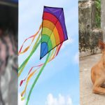 Hyderabad : హైదరాబాద్‌లో విషాదం..! గాలిపటం ఎగరేస్తూ బాలుడు మృతి..!