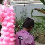 Ban on cotton candy: పీచు మిఠాయి విక్రయాలపై తమిళనాడులో నిషేధం.. ఎందుకంటే..?