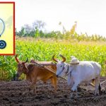 Budget 2024 : కొత్త బడ్జెట్‌లో రానున్నవి ఇవేనా?