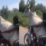 Viral Video : అరేయ్ ఏంట్రా ఇది.. కొంచె అటూ ఇటూ అయితే?