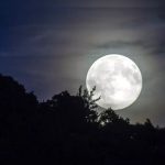 Do’s on Magh Purnima 2024: మాఘ పౌర్ణమి రోజు చేయాల్సిన పరిహారాలివే..!