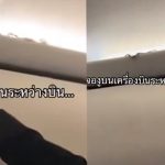 Snake in Plane: బాప్రే విమానంలో దూరిన పాము.. చాకచక్యంగా పట్టుకున్న వ్యక్తి!