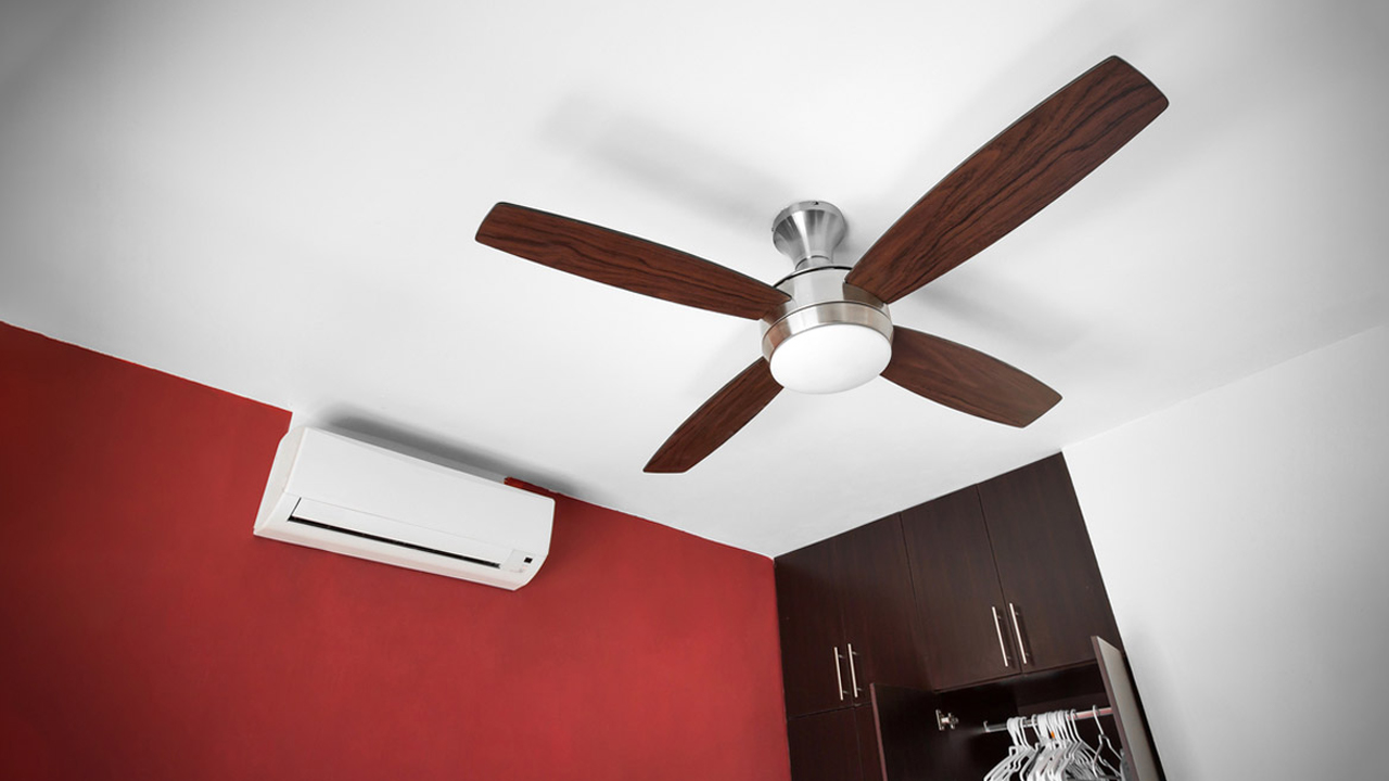 fan